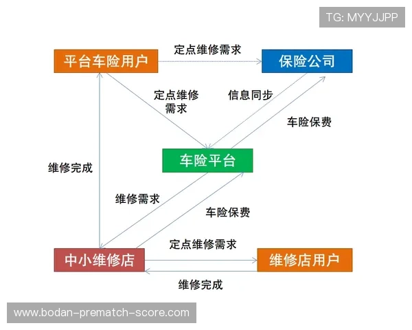 买波胆其他什么意思避坑指南平台对比防骗